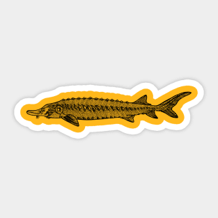 Atlantic Sturgeon fish drawing Sticker